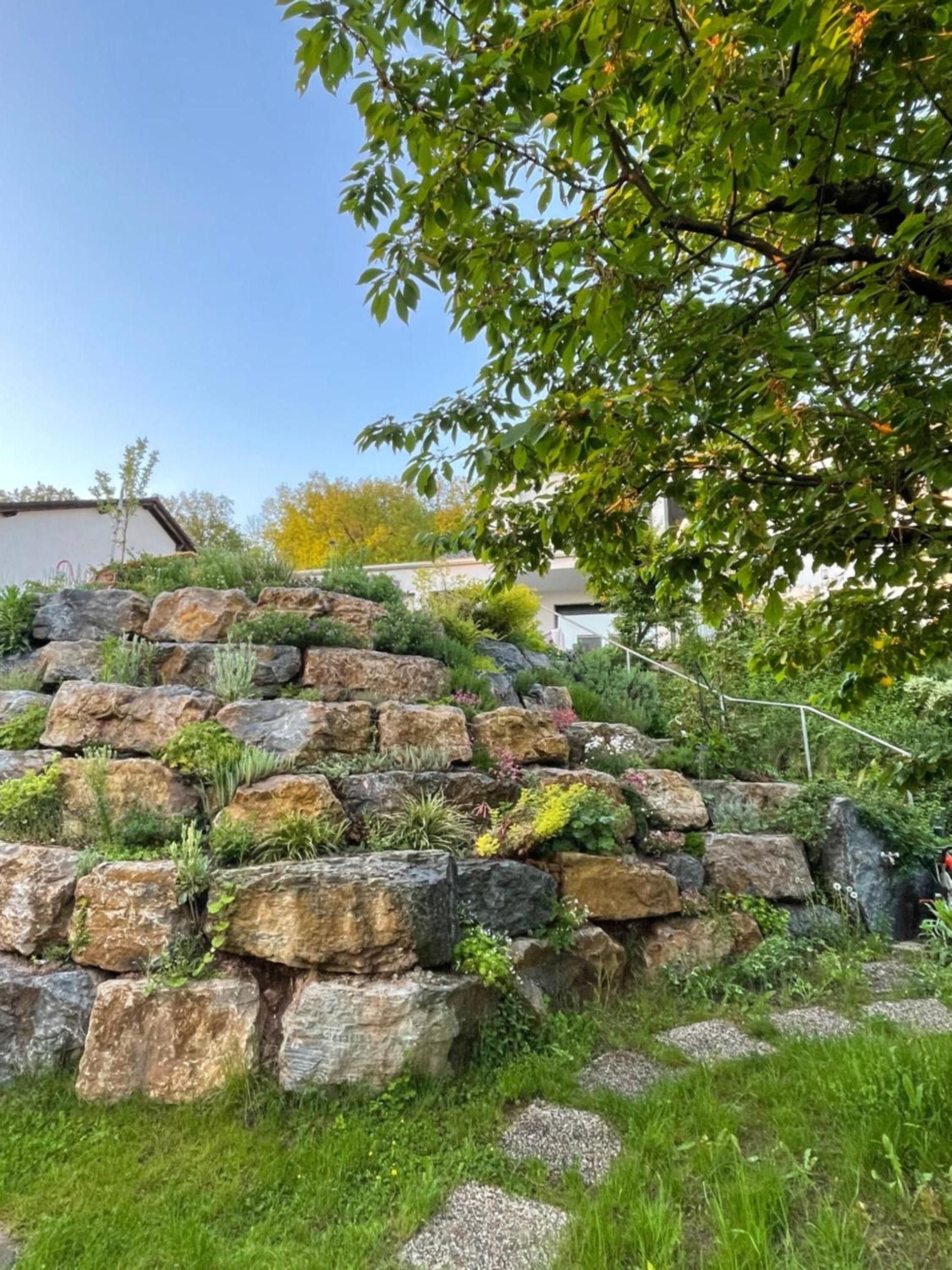 A landscaped garden with a rock formation, various plants, and a tree.