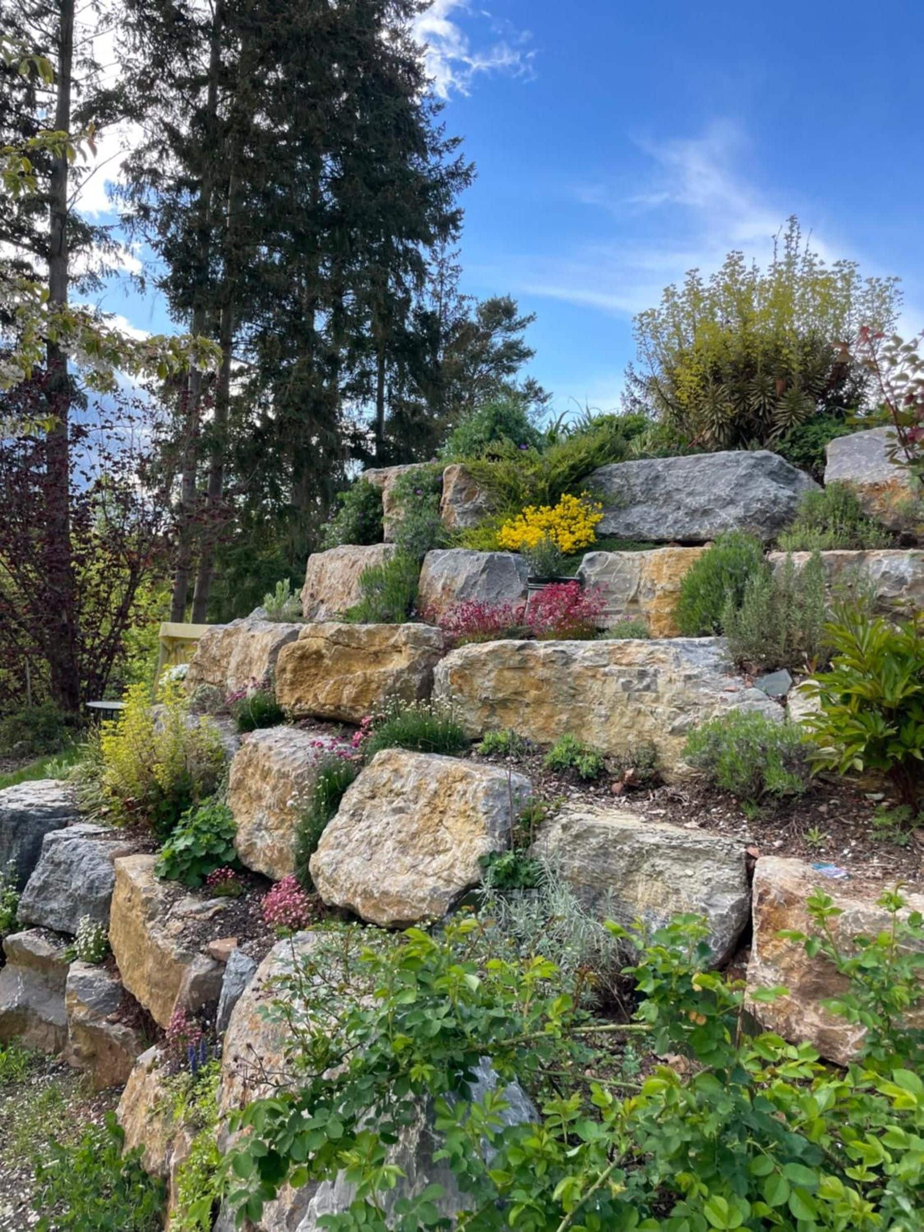 A landscaped garden with large rocks and various plants.