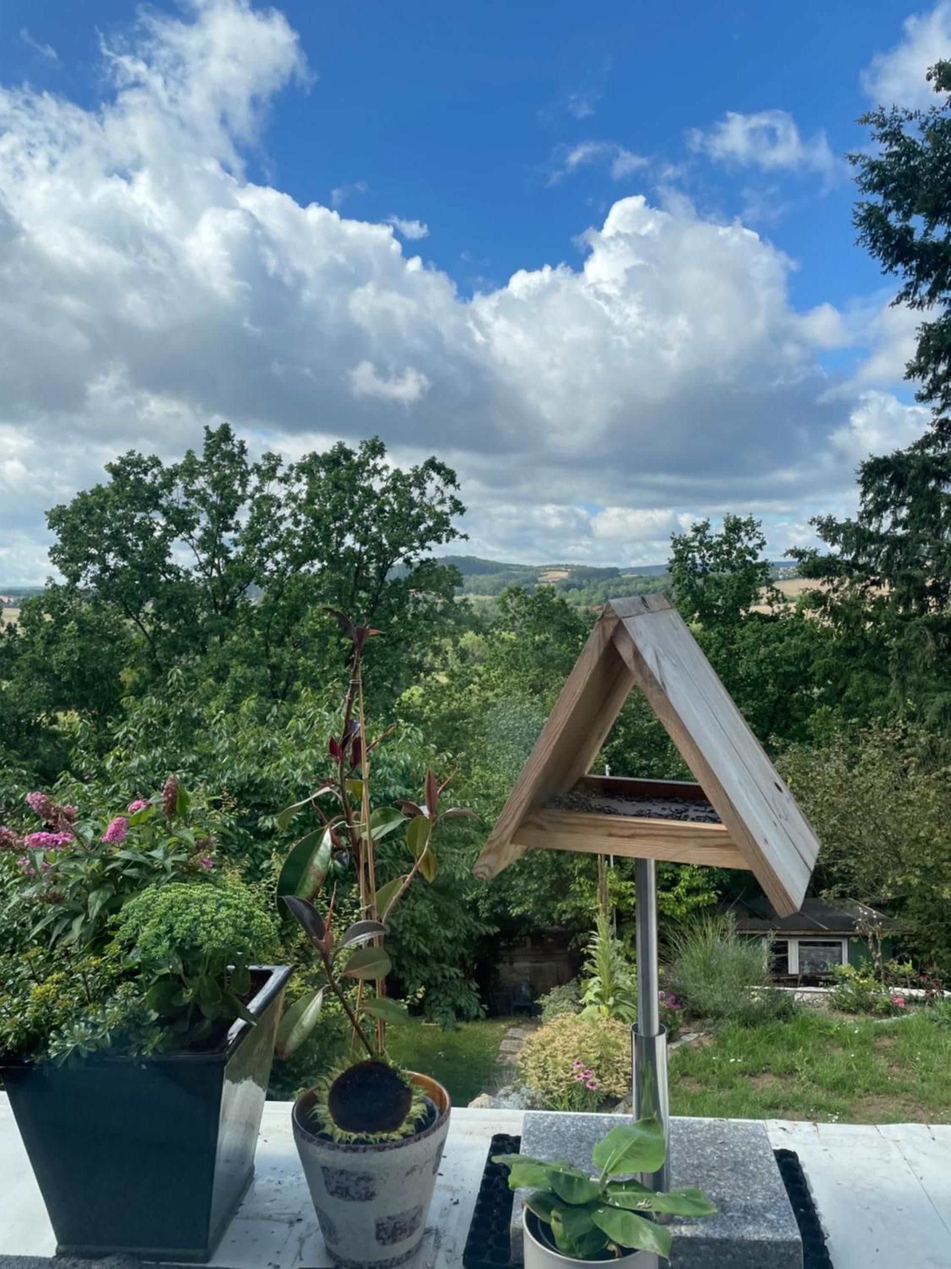 A garden view with a wooden birdhouse and potted plants.