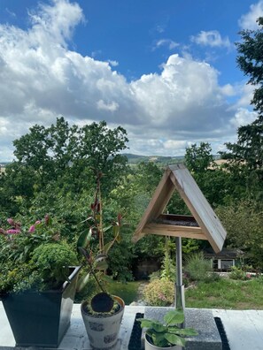 Blick auf einen Garten mit Vogelhaus und Blumentöpfen.