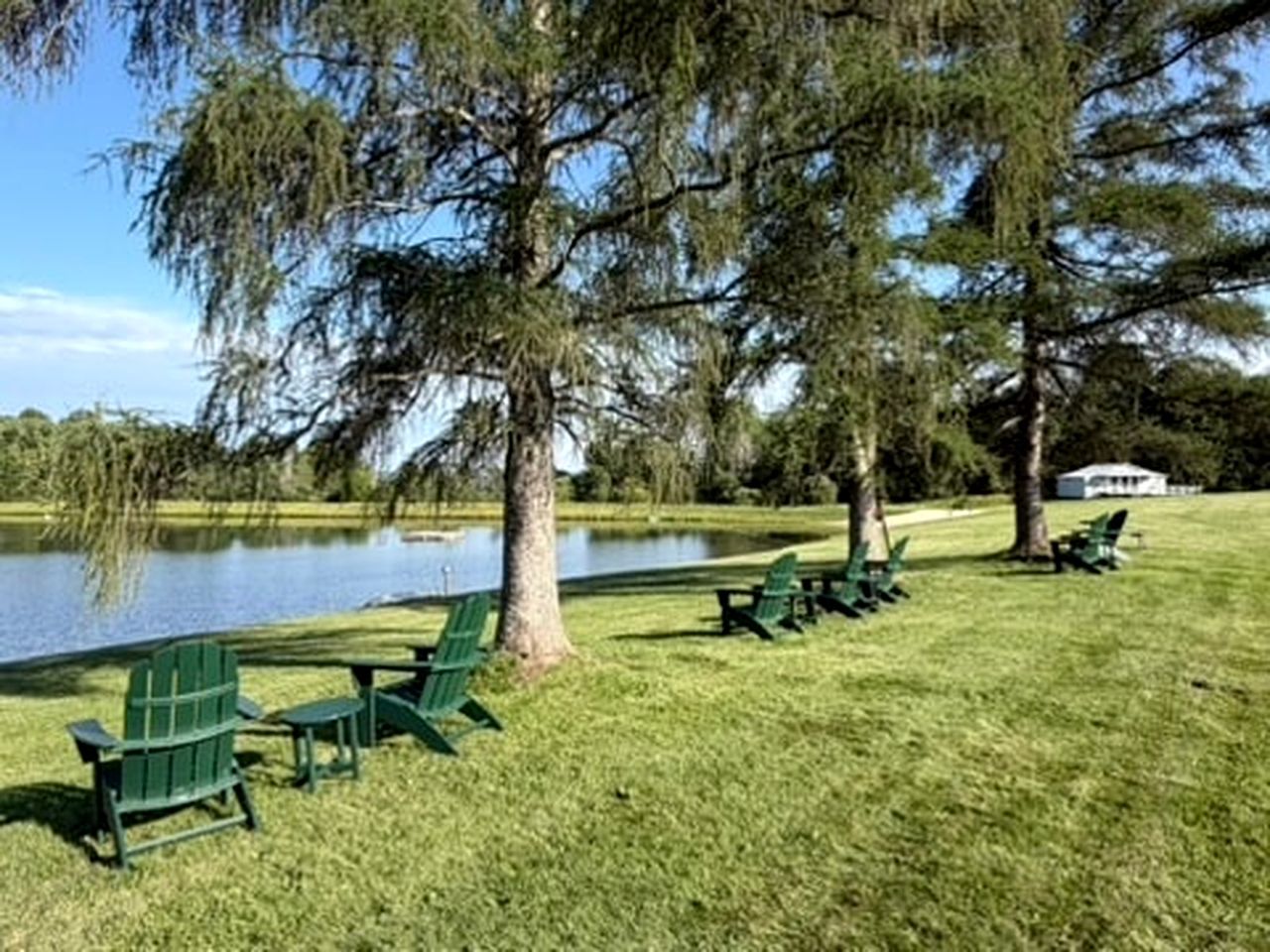 A grassy area with a pond, green chairs, and a small pavilion.