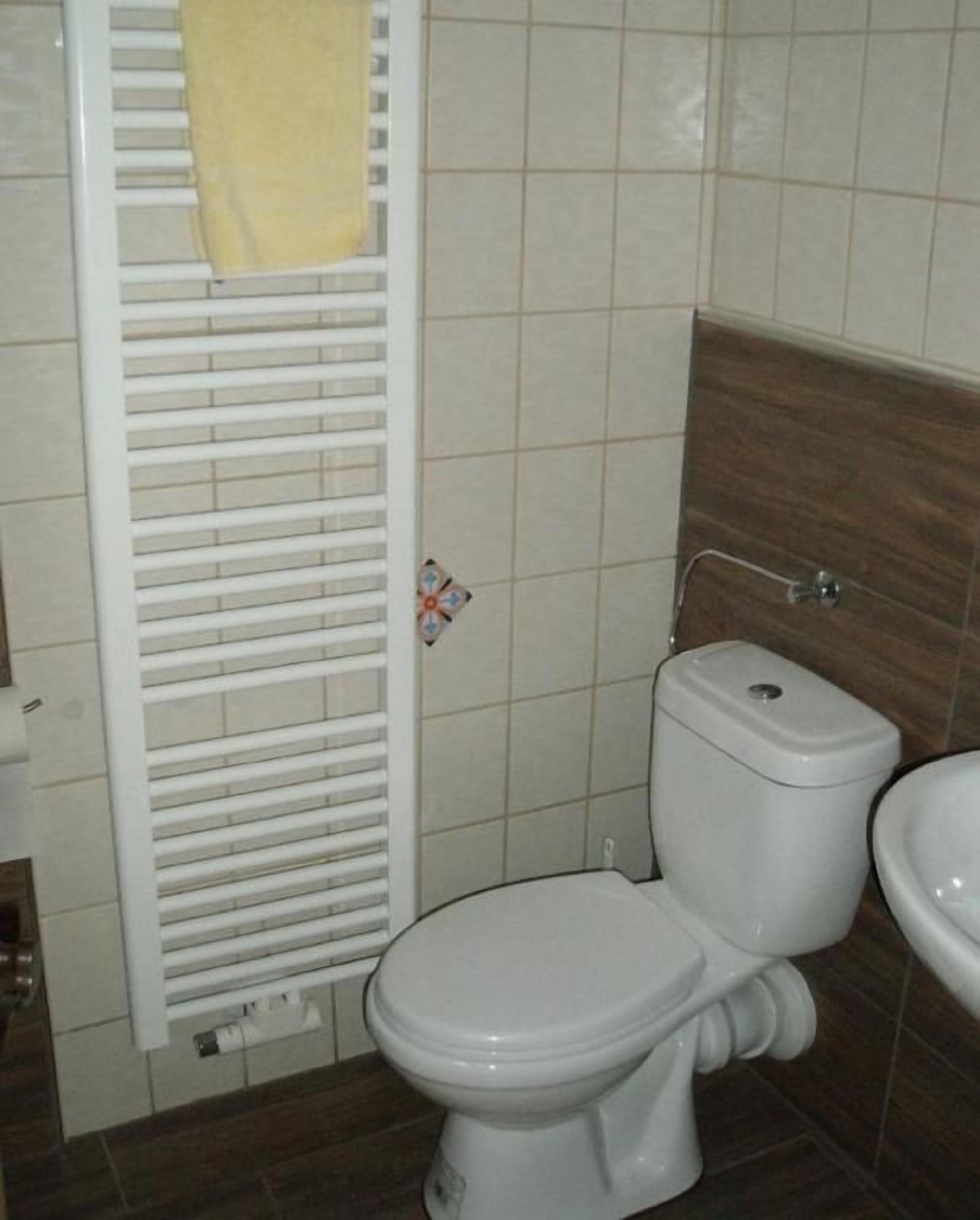 A bathroom with a toilet, a sink, and a towel rack.