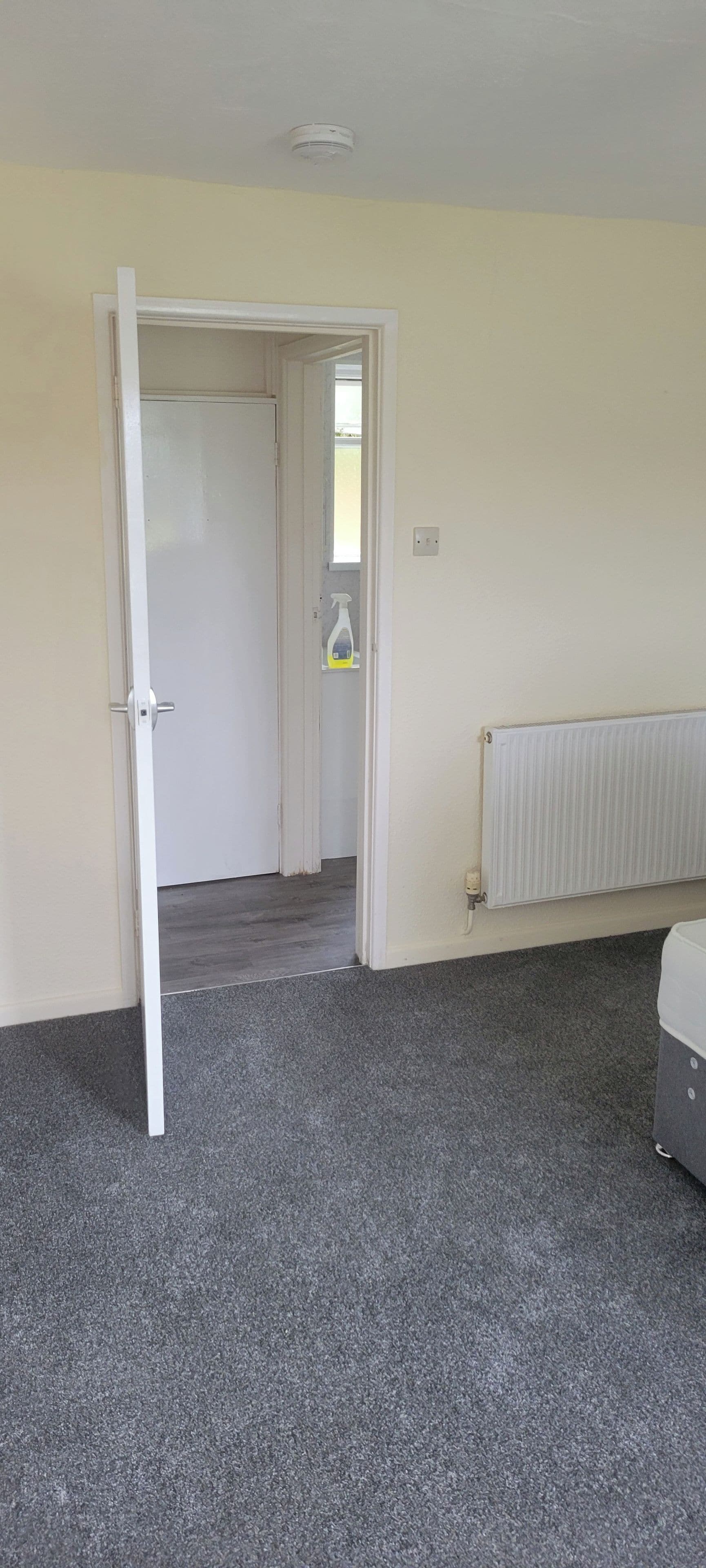 A room with a grey carpet, a white radiator, and a door leading to another room.