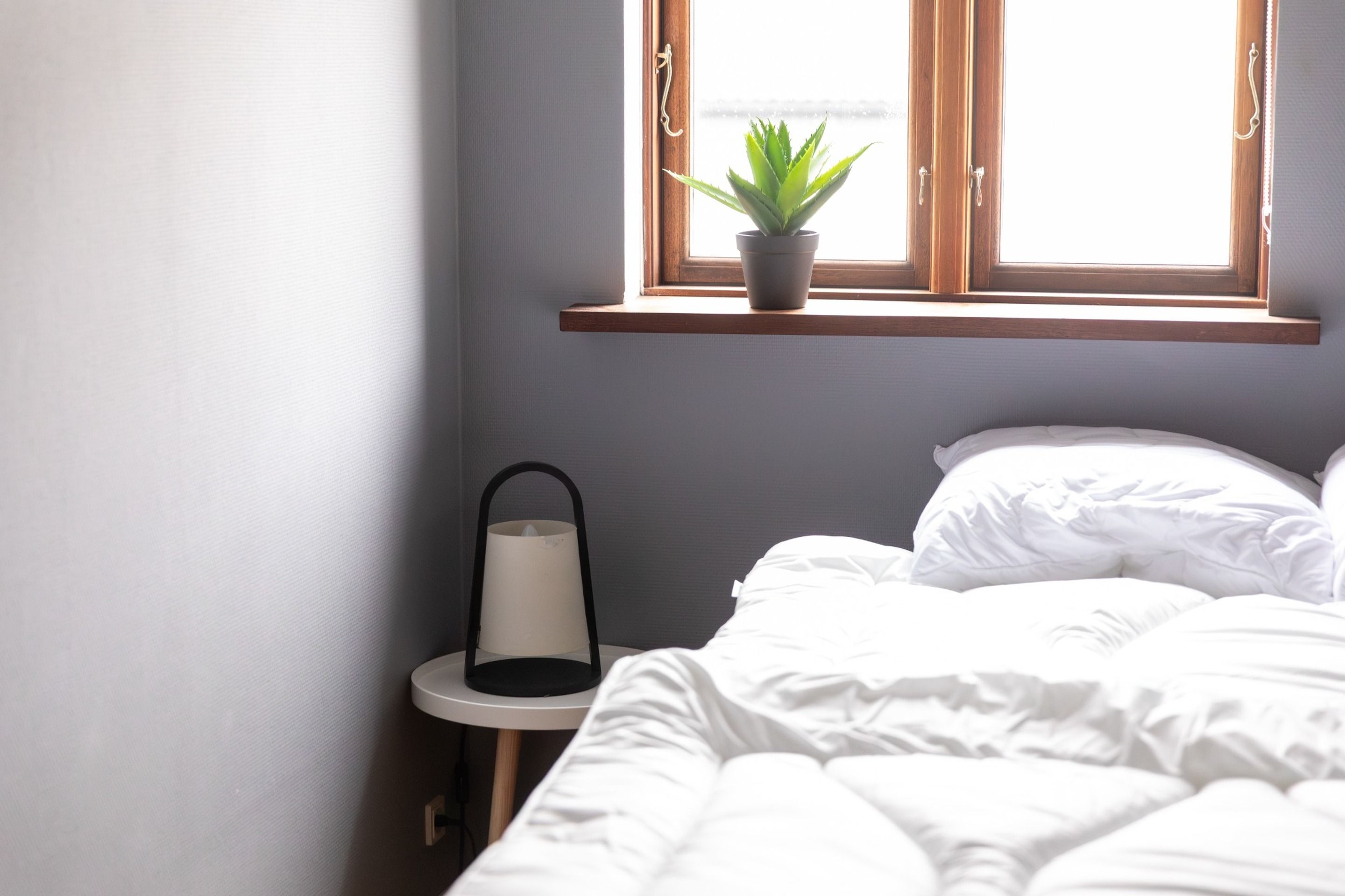 Een slaapkamer met een bed, een klein nachtkastje met een lamp, en een raam met een plant op de vensterbank.