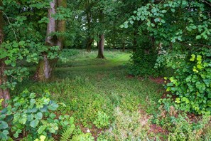 A forested area with dense greenery and trees. - Beautiful new build with outstanding views, huge lounge, high quality cinema. (Kirkby Stephen)