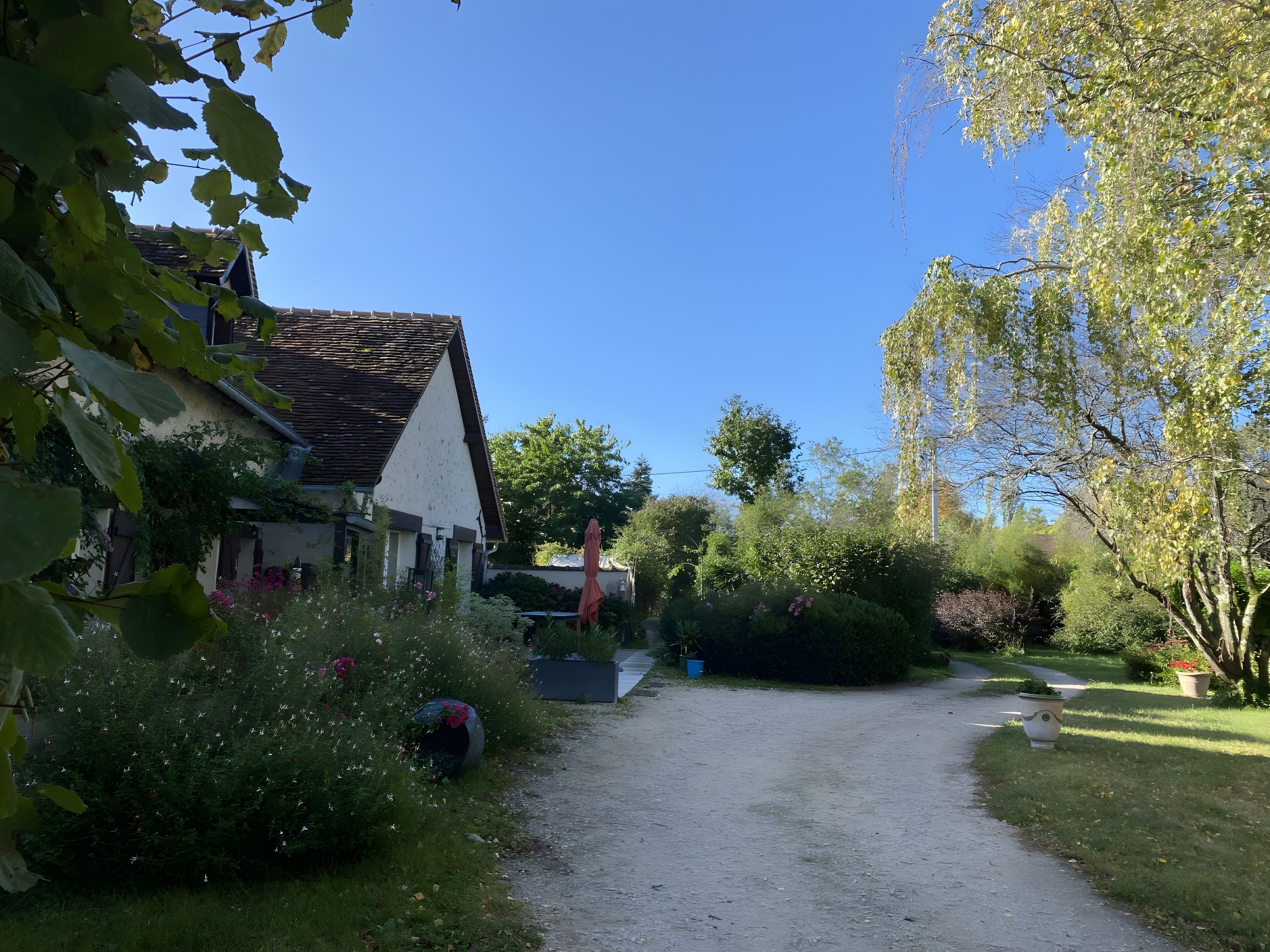 Un sentier rural qui mène à une maison dotée d’un toit en pente, entourée d’une végétation luxuriante et de plantes en fleurs.