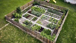 Ein Garten mit erhöhten Beeten und einem Holzzaun.