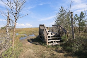 A wooden footbridge in a natural setting with a clear sky. - A Cozy Place - Country/Beach Living (Beaufort)