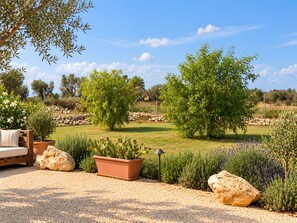 Un jardín con banco de madera, plantas en macetas y una roca grande.