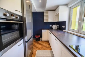 Private kitchen - Mountain View Apartment with Sauna (Kranj)