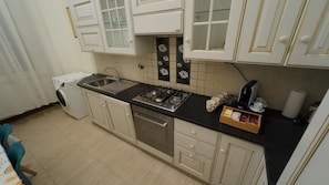 A compact kitchen with a gas stove, a sink, and a dishwasher. - Vatican Doli (Roma)