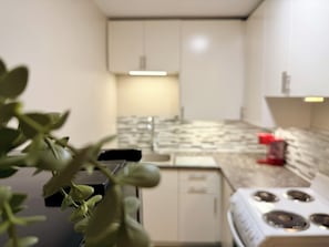 A kitchen with white cabinets, a countertop, and a stove. - Stylish Studio in St Boniface: French Quarter - cafés, museums, bus route, park (Winnipeg)