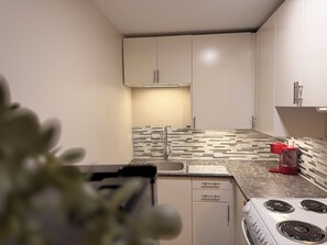 A modern kitchen with white cabinets, a granite countertop, a stainless steel sink, and a gas stove. - Stylish Studio in St Boniface: French Quarter - cafés, museums, bus route, park (Winnipeg)