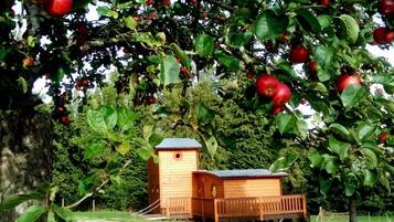 Une structure en bois, dotée d’un toit incliné, qui pourrait être un nichoir ou un abri de jardin, entourée d’arbres verdoyants et de pommes rouges.
