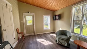 A room with a wooden ceiling, a door, a window, a dartboard, and a chair.