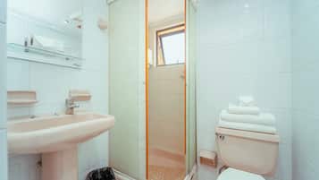 Baño con lavamanos, inodoro y zona de ducha.