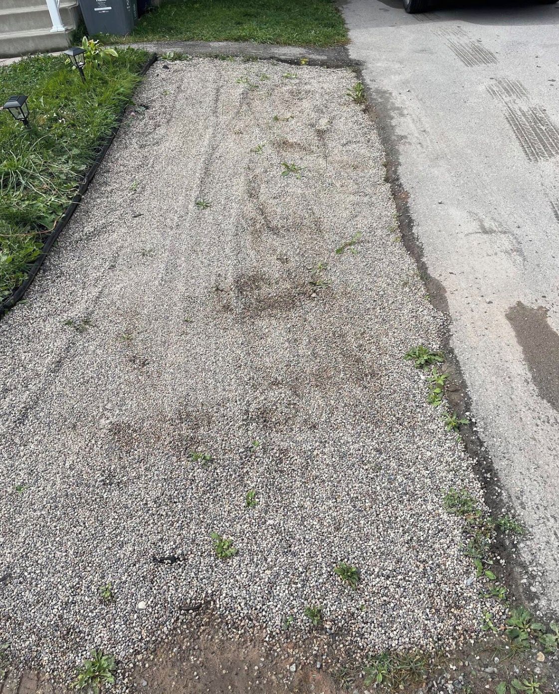 A gravel driveway with a concrete border and a grassy area with plants.