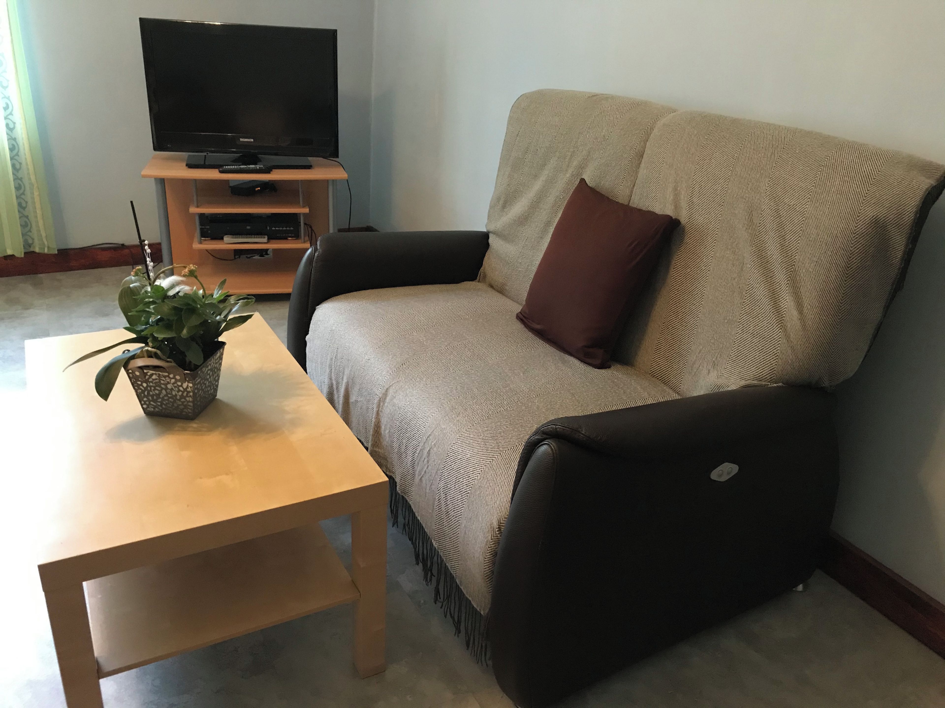 Ein Wohnzimmer mit Sofa, Couchtisch, Fernseher auf einem Schrank und einer Zimmerpflanze.