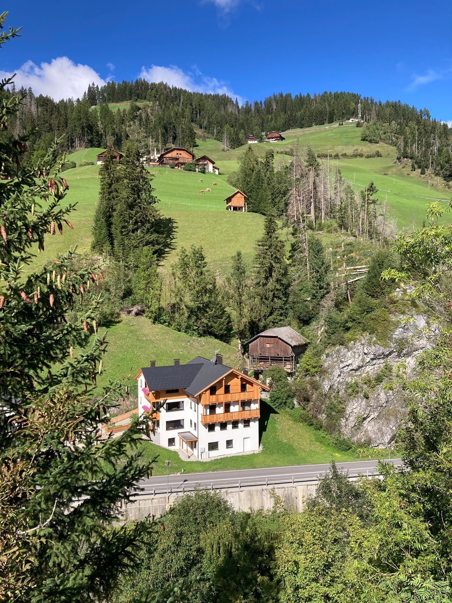 Paesaggio montano rurale con una grande casa di legno immersa nel verde e un cielo sereno.