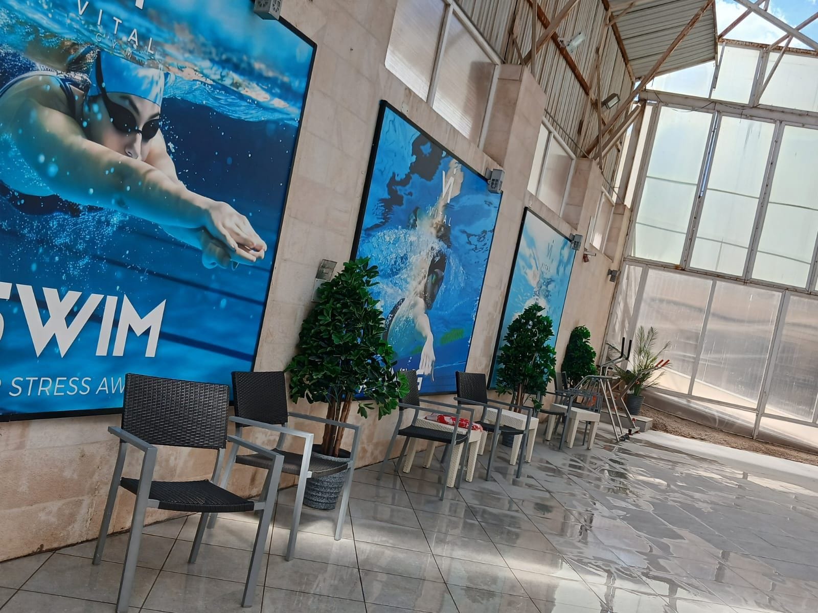 Een sportschool met grote posters van zwemmers, stoelen en potplanten.