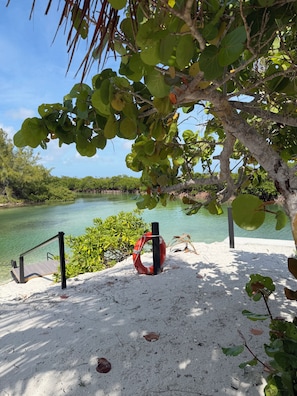 A sandy beach with a lifebuoy and a wooden dock extending into a calm body of water, surrounded by dense foliage. - Cozy 1-bedroom apartment in peaceful Casuarina with AC (Casuarina)