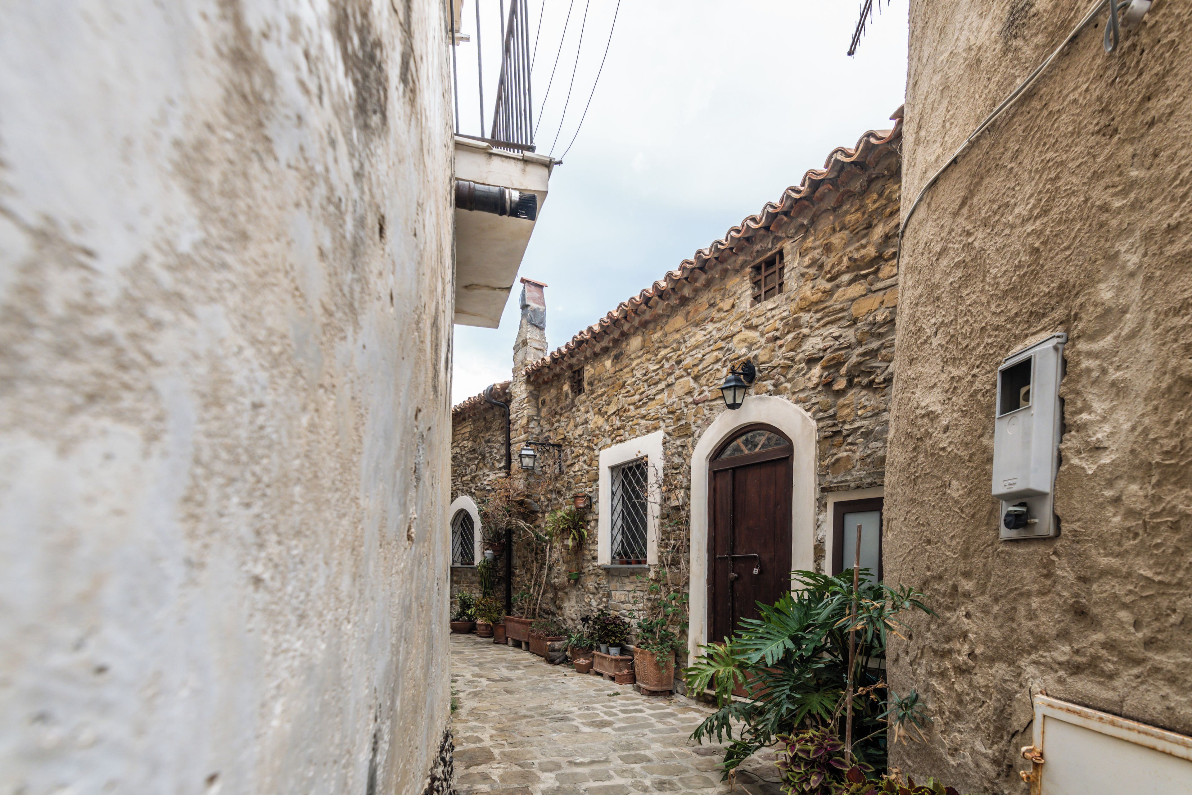 A narrow cobblestone alley with stone buildings, a wooden door, and potted plants.