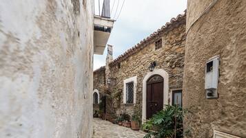 A narrow cobblestone alley with stone buildings, a wooden door, and potted plants.