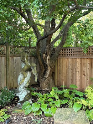 A tree with a wooden fence in the background. - “2-bedroom apartment in a historic carriage house with garden” (Lambertville)