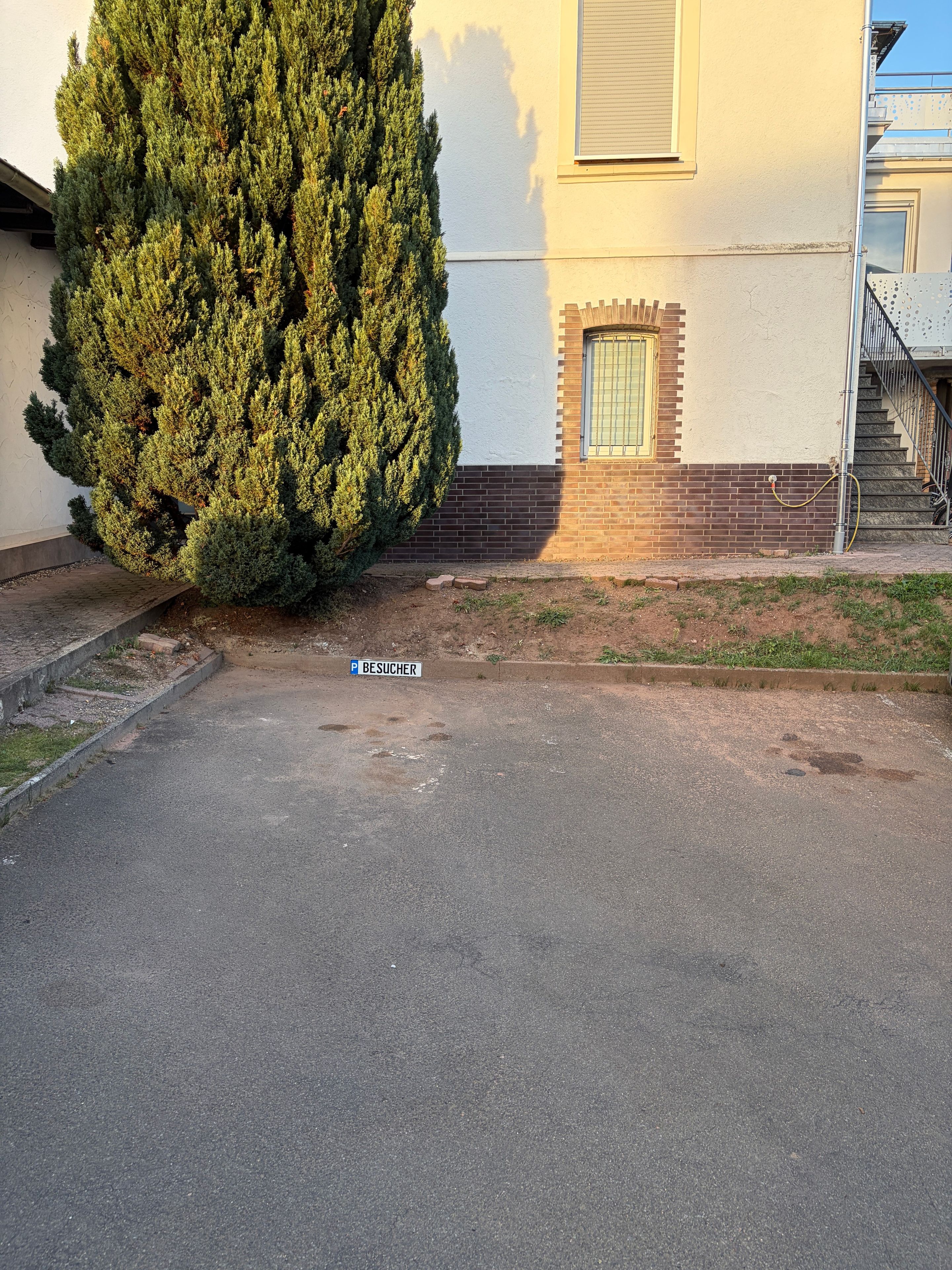 Ein Parkplatz mit einem Schild, auf dem 'P BESUCHER' steht, und ein großer immergrüner Baum.