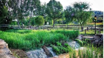 Jardines del alojamiento
