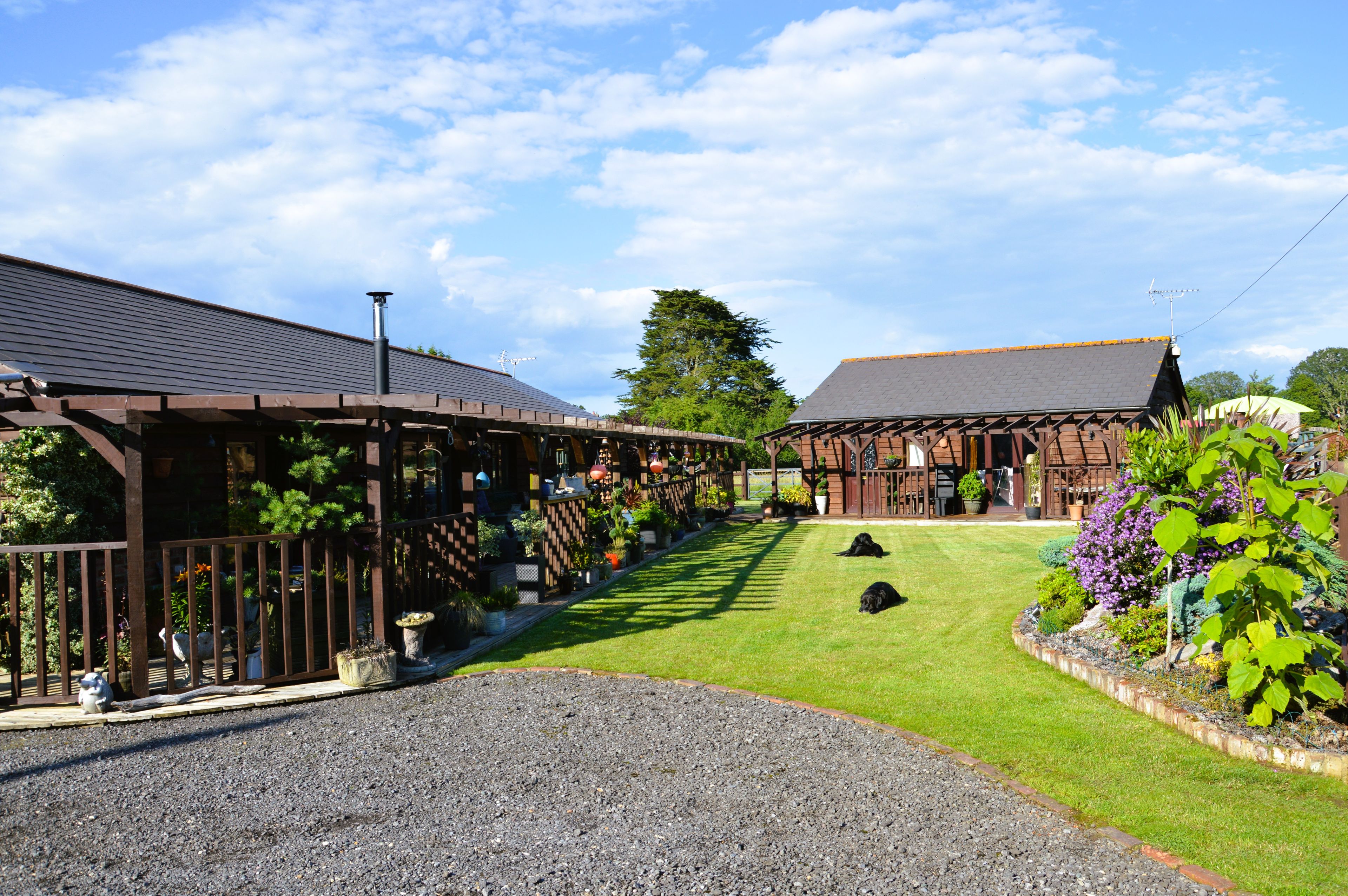 A building with a covered walkway and a grassy lawn with two dogs.