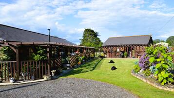 A building with a covered walkway and a grassy lawn with two dogs.
