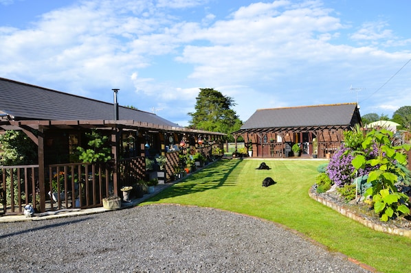 A building with a covered walkway and a grassy lawn with two dogs.