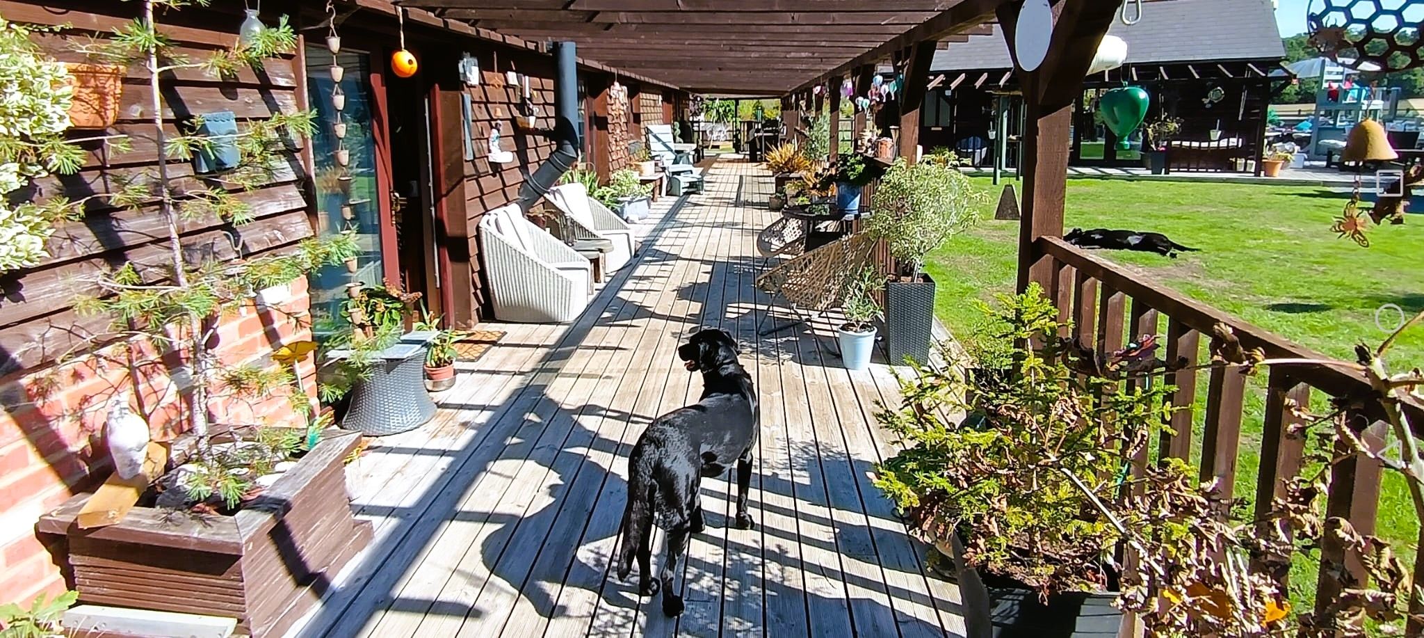 A wooden deck with potted plants and outdoor furniture.