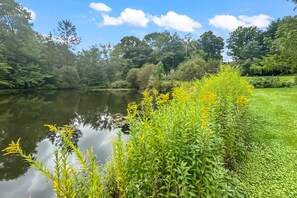 Ruhiger See mit üppiger Vegetation und stillen Wassern.