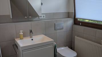 A modern bathroom with a toilet, sink, and mirror.