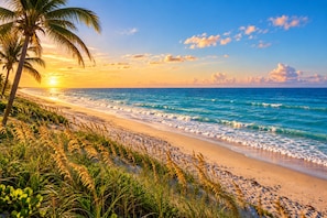 Beach - Dunes Dream Just 100 Steps from the Beach (Jensen Beach)