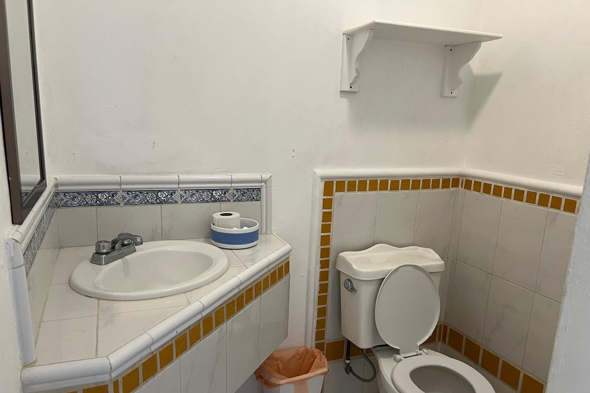 A small bathroom with a sink, toilet, and a trash bin.