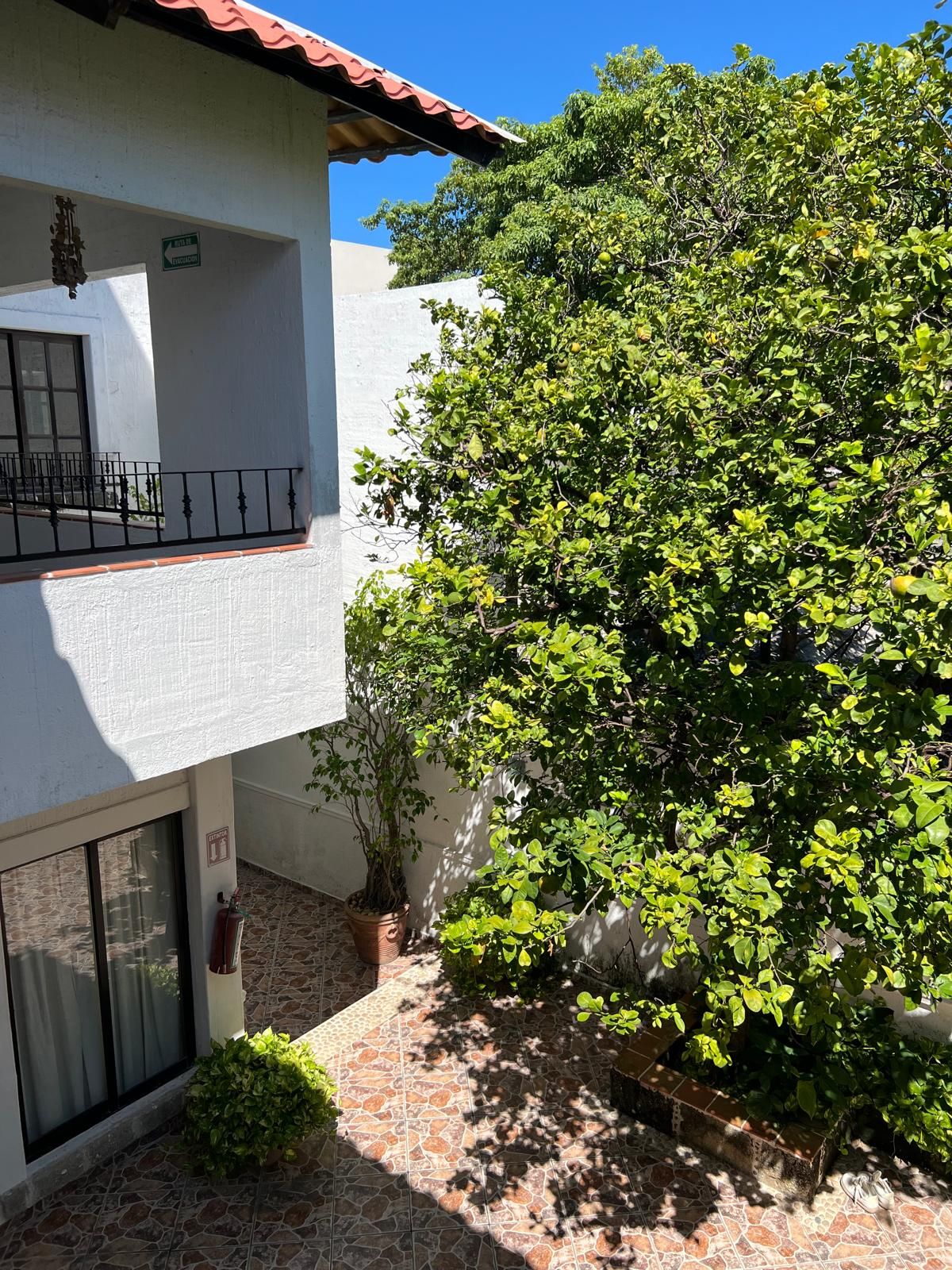 A two-story building with a balcony, a potted plant, and a tree in the courtyard.