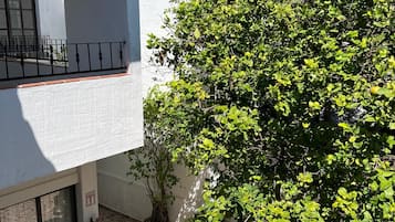 A two-story building with a balcony, a potted plant, and a tree in the courtyard.
