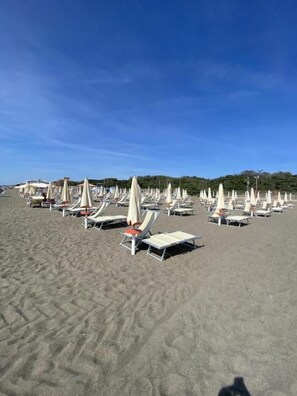 Una playa con filas de tumbonas y sombrillas.