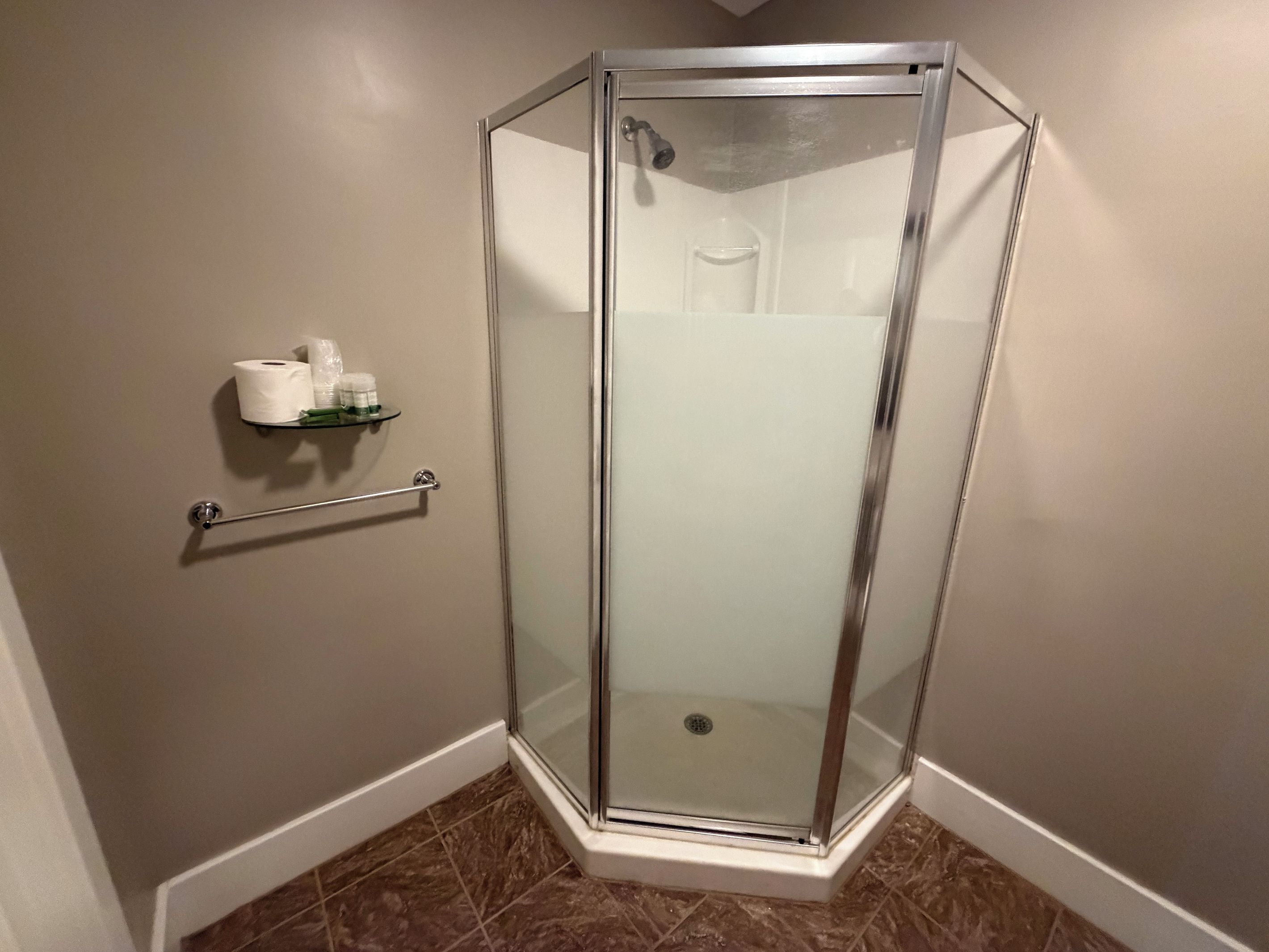 Eine gläserne Dusche mit Metallrahmen, ein Handtuchhalter und ein Ablagefach für Toilettenartikel.