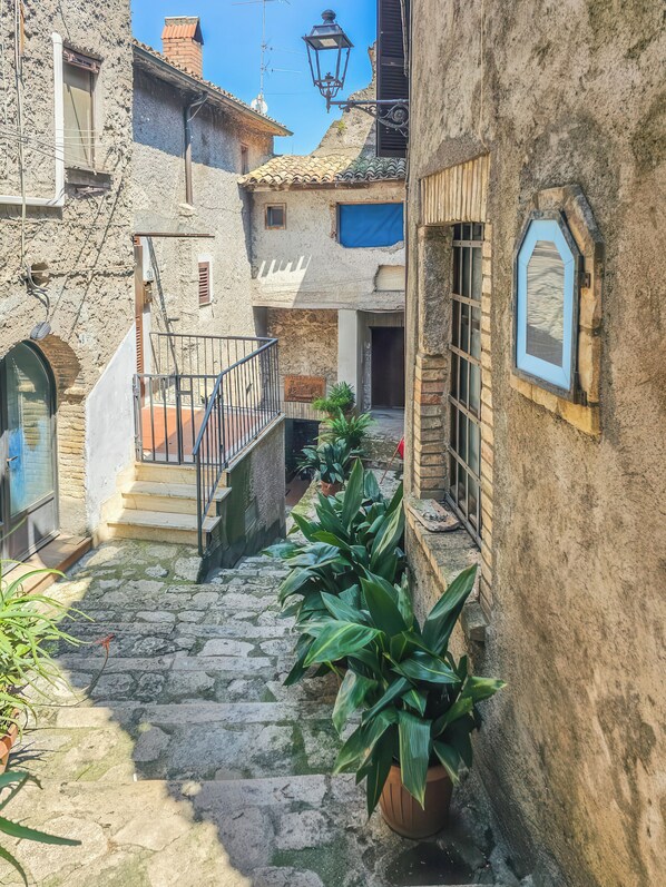 A narrow stone staircase leading to a building entrance, flanked by potted plants and a metal railing.