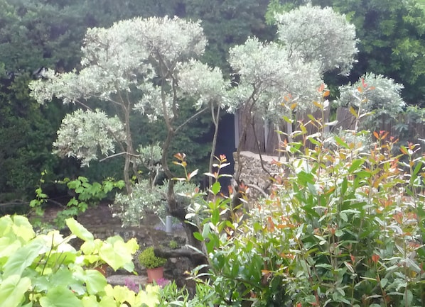A garden with various trees and plants, a stone wall, and a wooden structure.
