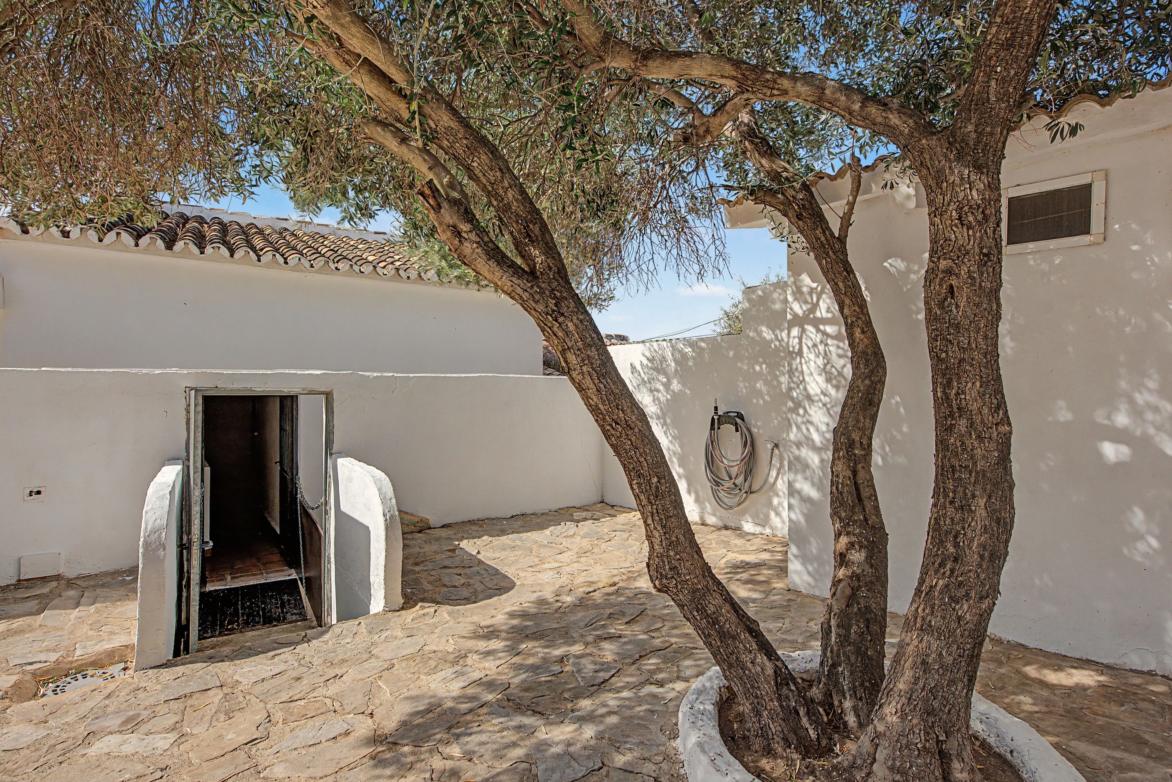 Un patio con un árbol, una puerta y un muro con tejado de baldosas.