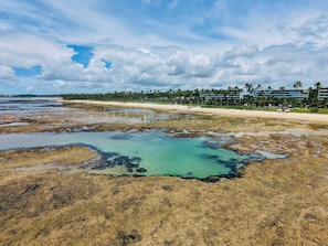 ชายหาด