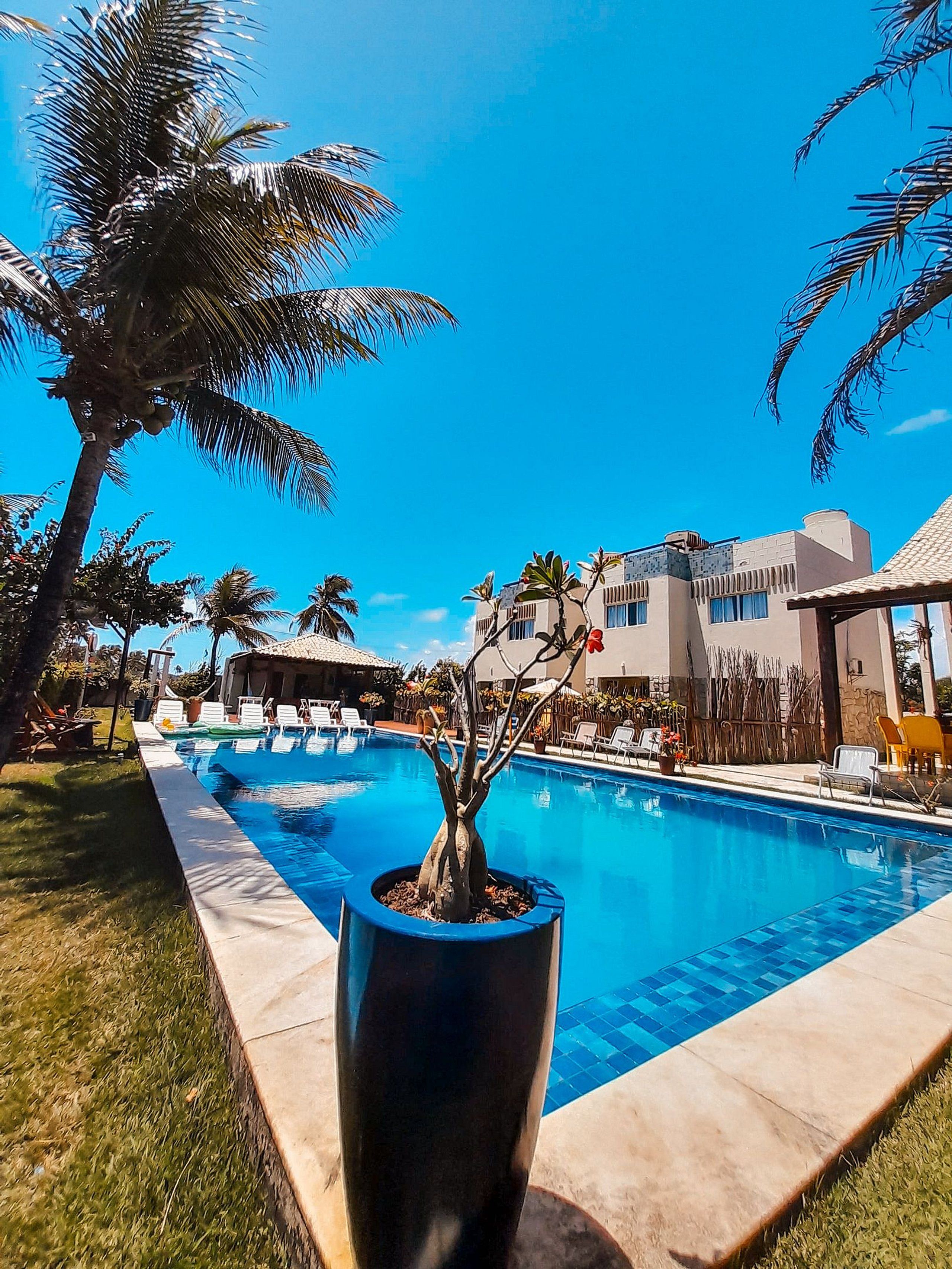 A swimming pool with a potted plant in the foreground, surrounded by palm trees and a building with a tiled roof in the background.