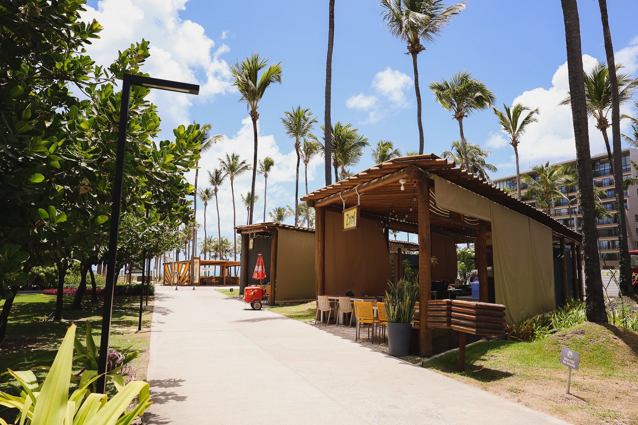 A pathway leading to a wooden structure with outdoor seating, surrounded by palm trees and a clear sky.