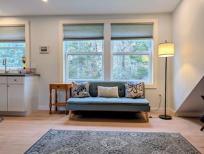 A modern living room with a sofa, a rug, and a lamp. - Cozy Coastal Studio Cottage a short walk to Pemaquid Beach (Bristol)
