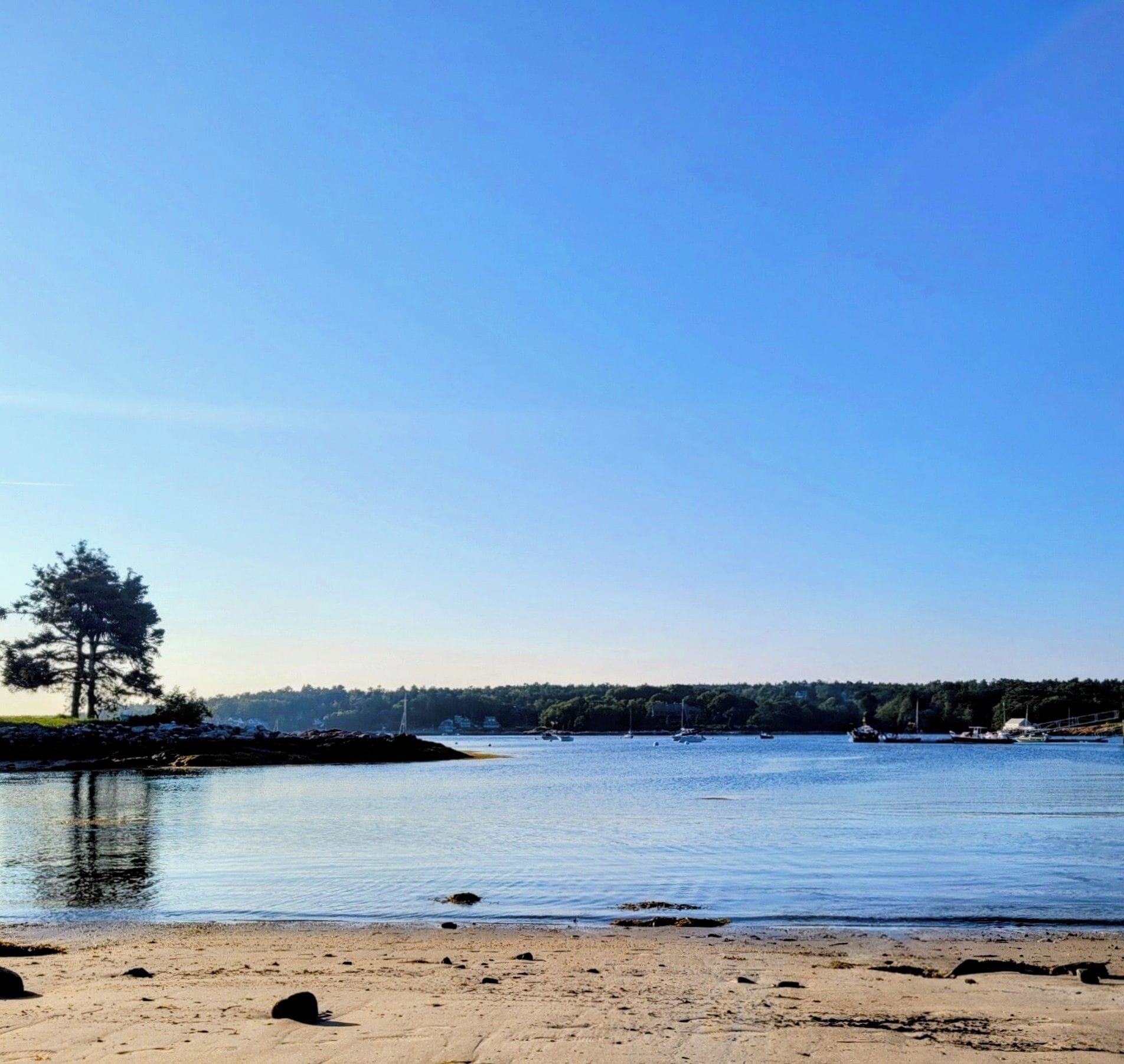 A calm lake with boats, a sandy beach, and a tree on the left.